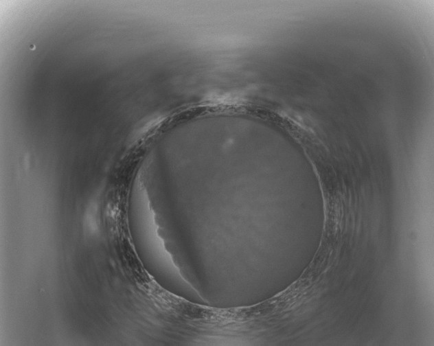 X0000062851254200601171502