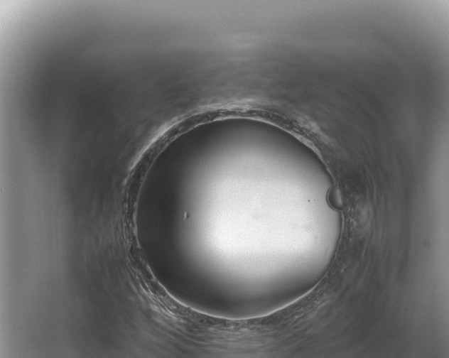 X0000062851256200601171502