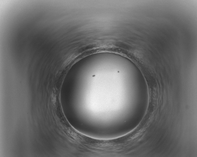 X0000062851257200601171502