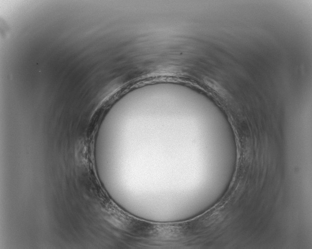 X0000062851258200601171502