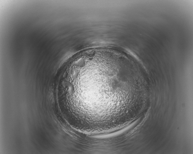 X0000062851259200601171502