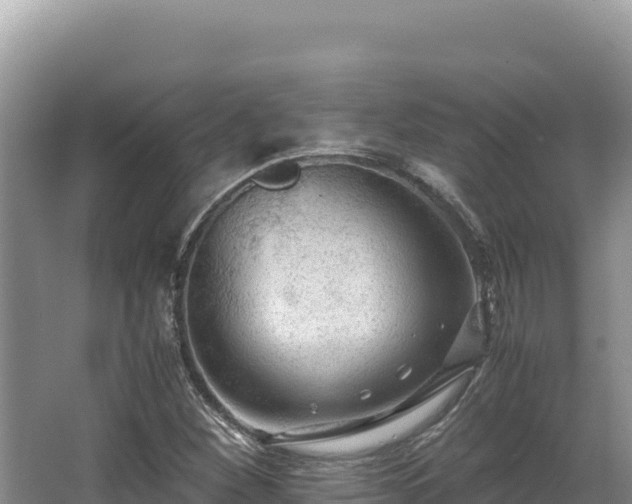 X0000062851260200601171502