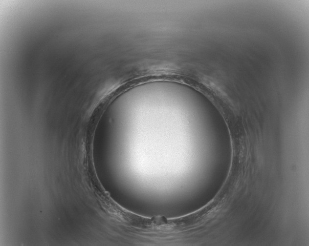 X0000062851261200601171502