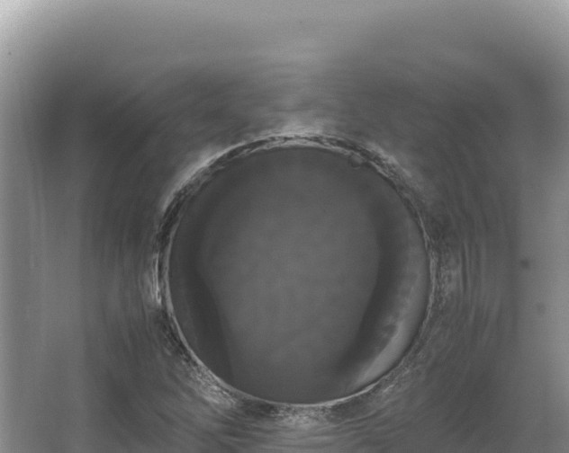 X0000062851262200601171502