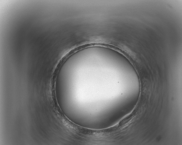 X0000062851264200601171502