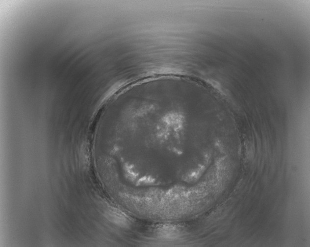 X0000062851266200601171502