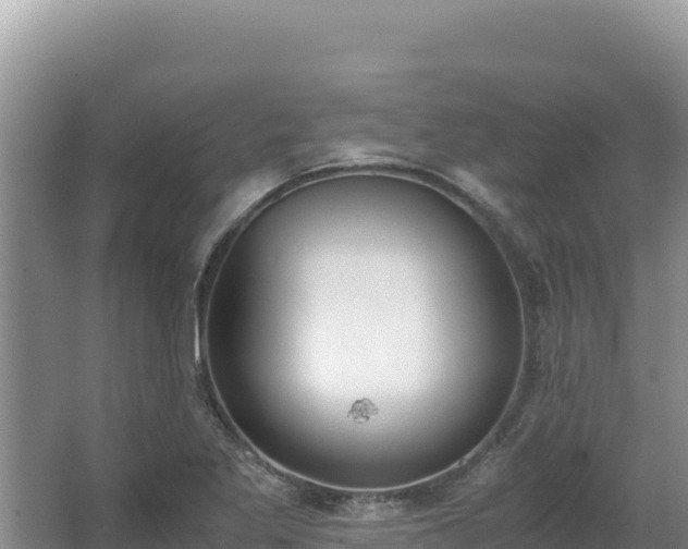 X0000062851269200601171502