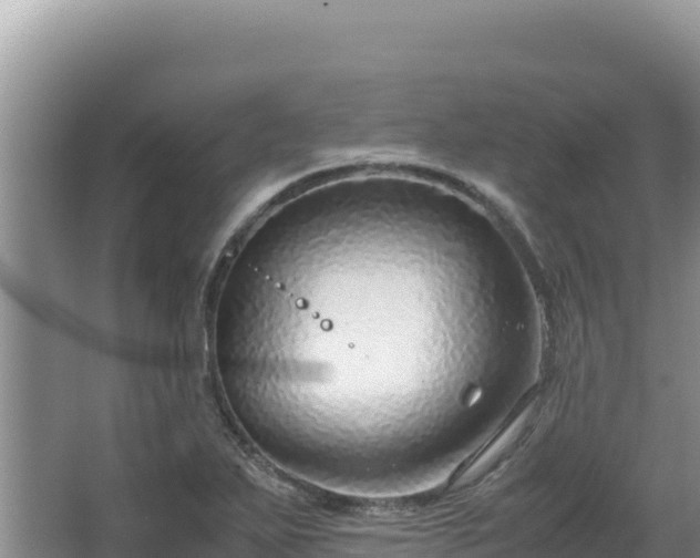 X0000062851271200601171502