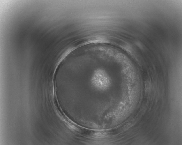 X0000062851274200601171502