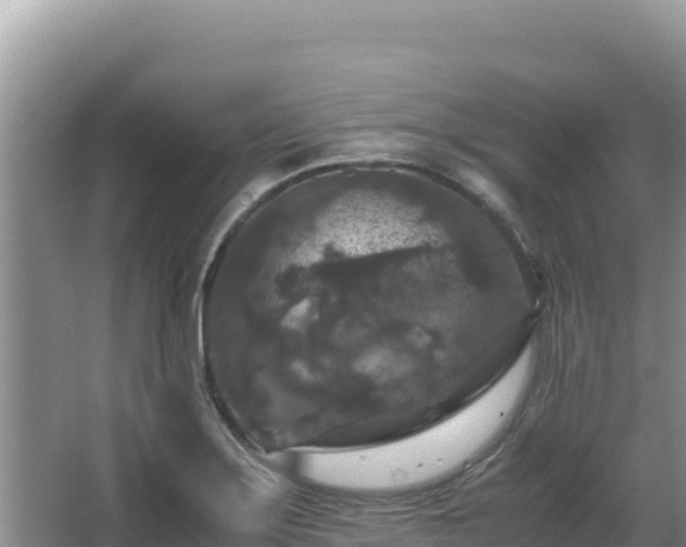 X0000062851275200601171502