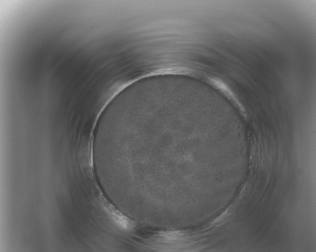 X0000062851276200601171502