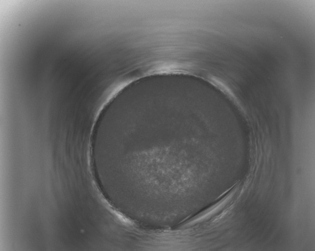 X0000062851277200601171502