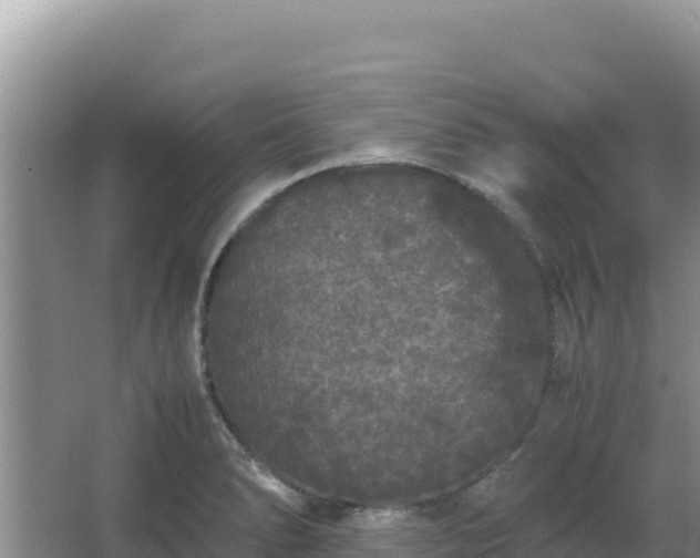 X0000062851278200601171502