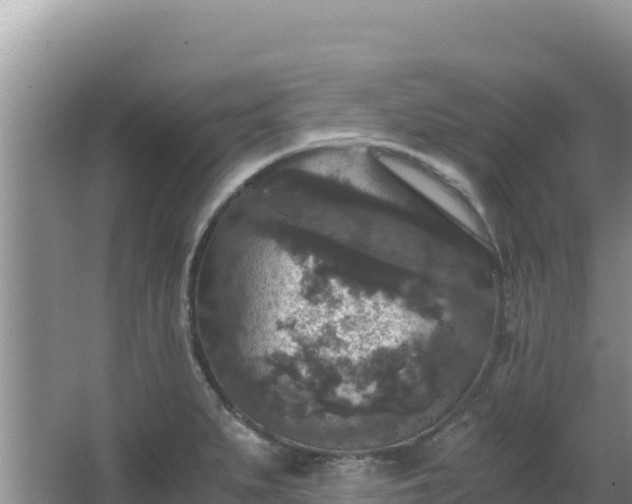 X0000062851279200601171502