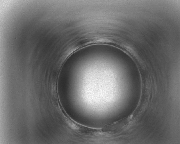 X0000062851281200601171502