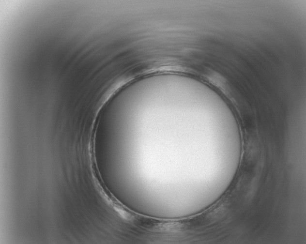 X0000062851282200601171501