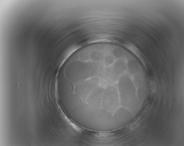 X0000062851290200601171501