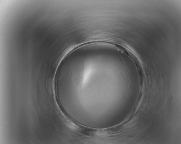 X0000062851291200601171501