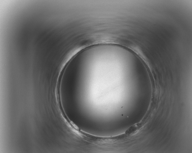 X0000062851293200601171501