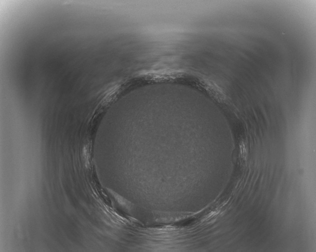 X0000062851300200601171500