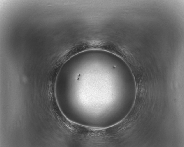 X0000062851301200601171501