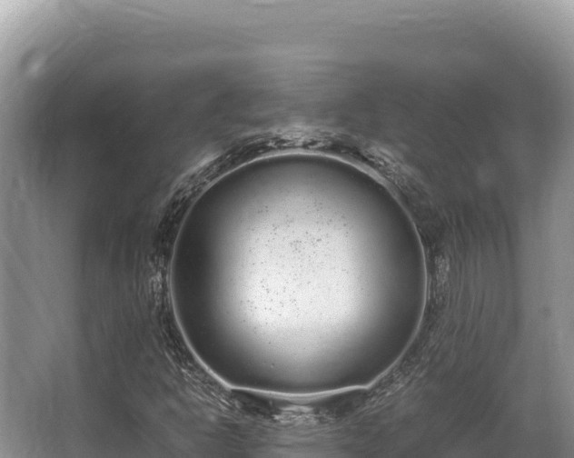 X0000062851302200601171501