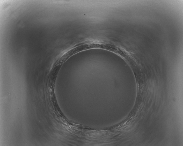 X0000062851303200601171501