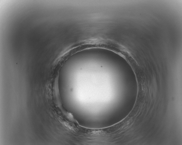 X0000062851304200601171501