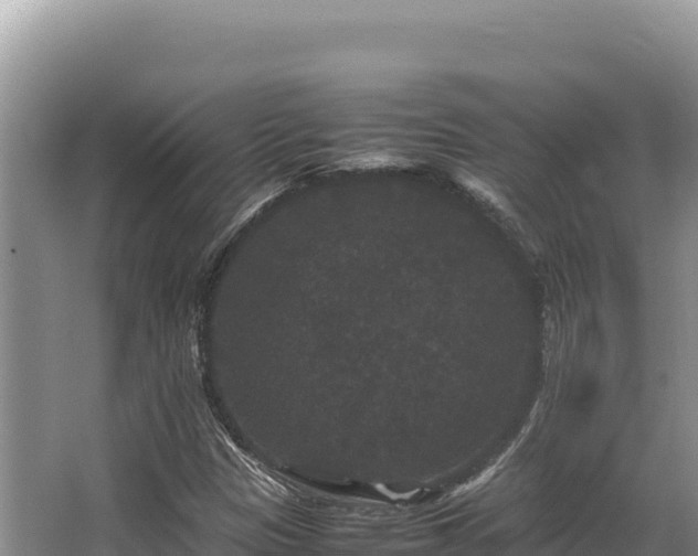 X0000062851305200601171501