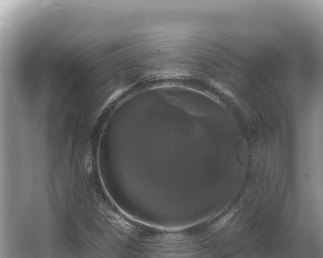 X0000062851306200601171501