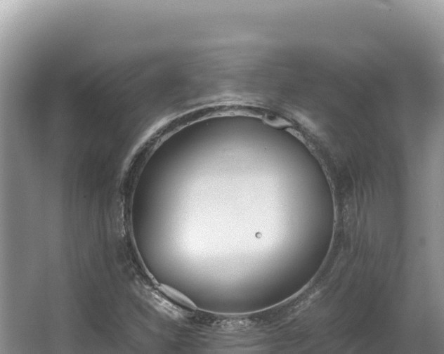 X0000062851310200601171501