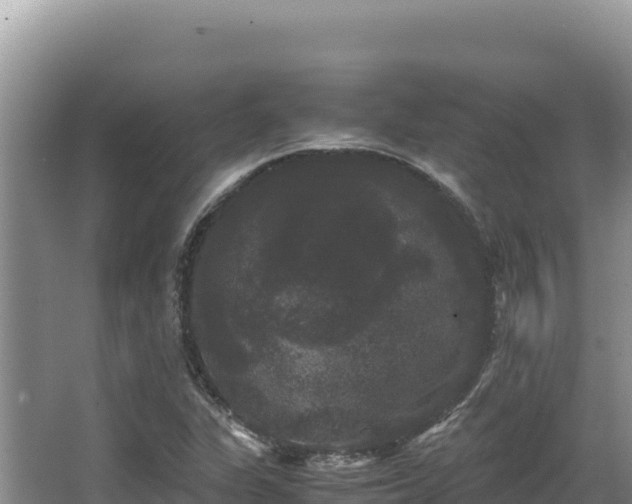 X0000062851311200601171501