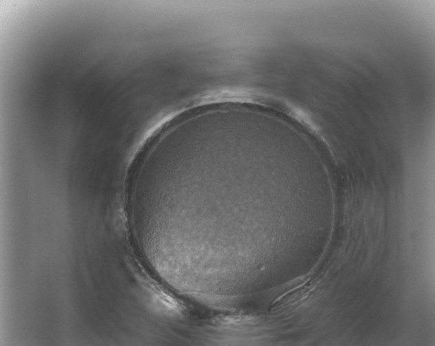 X0000062851312200601171501