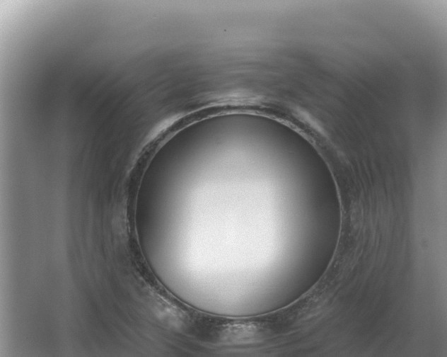 X0000062851315200601171501