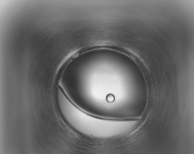 X0000062851317200601171501