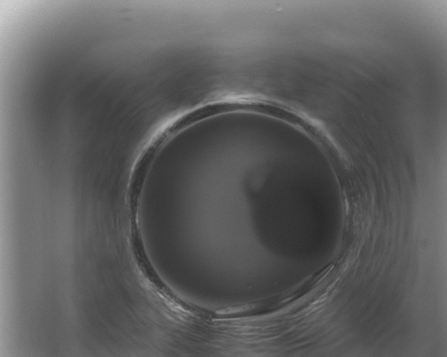 X0000062851319200601171501