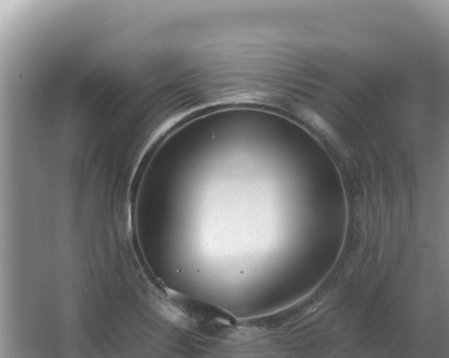 X0000062851324200601171501