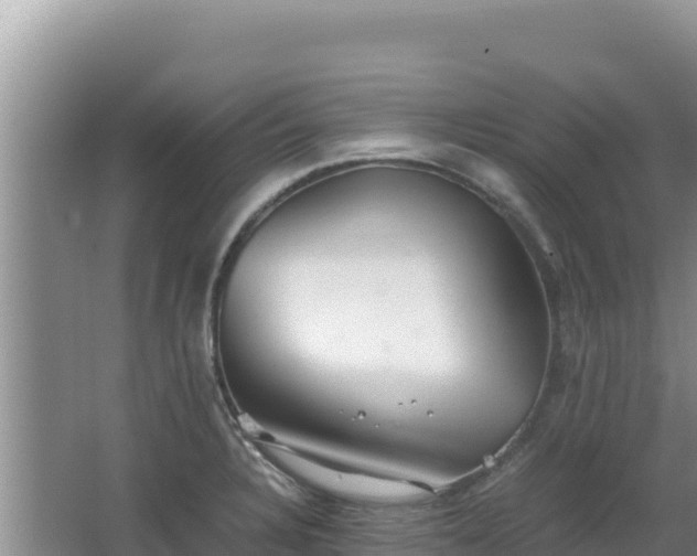 X0000062851328200601171501