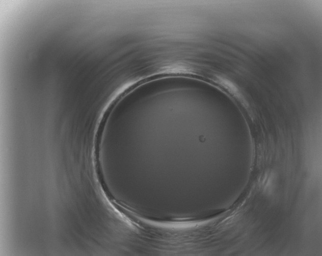 X0000062851331200601171501