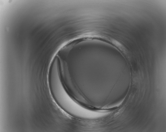 X0000062851334200601171501