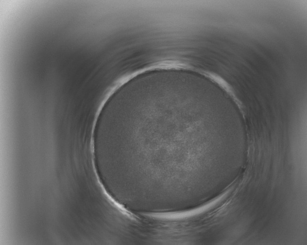 X0000062851335200601171501