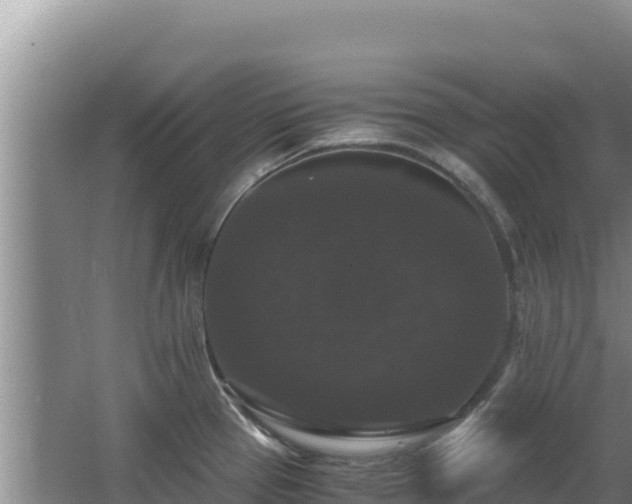 X0000062851337200601171501