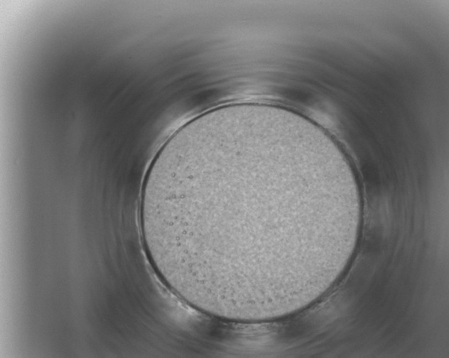 X0000062851338200601171501