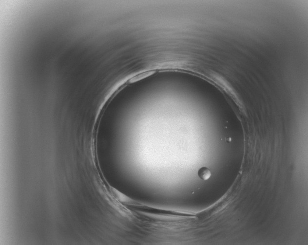 X0000062851340200601171501