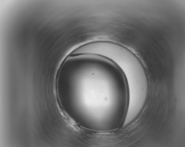 X0000062851342200601171501