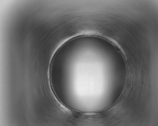 X0000062851343200601171501