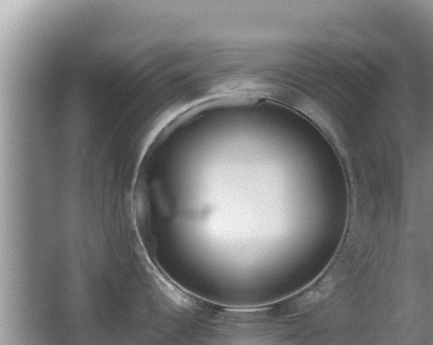 X0000062851344200601171501