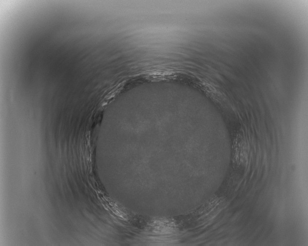 X0000062851346200601171500