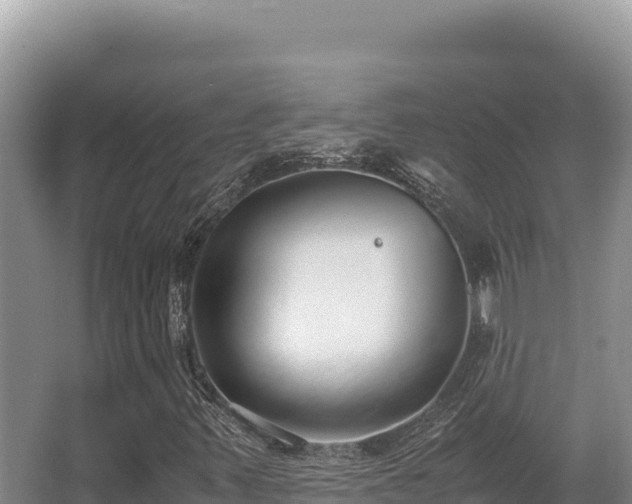 X0000062851347200601171500