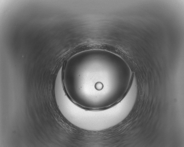 X0000062851348200601171500